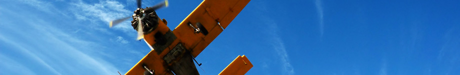 Out of the Box - Strategy, Sales and Marketing Rotating Header Image